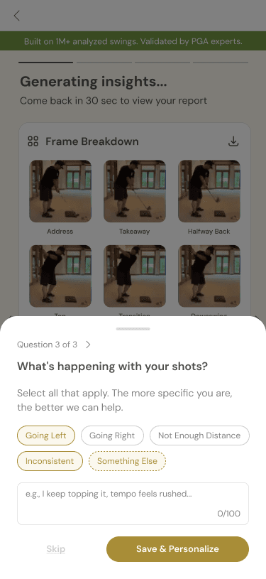 SneakySwing app screen